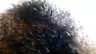 नुरा कोशकिना उनको प्रेमी गरेको गधा र ठूलो कुखुरा स्ट्रोक.