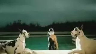 गुलाब LnNn मिक नीलो कुखुरा रुचि, सट्टा गुदा प्लग को.