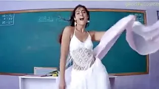 यो दासी उनको बिल्ली काम गर्न कसरी थाह.