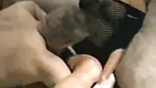 पोल संग रूसी गायक पार्टी.