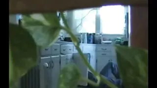 त्यसपछि एक फ्रान्सेली महिलासँग उनको भेट भयो ।