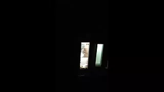 कपाल बिल्ली मा कुखुरा दिइरहेको.